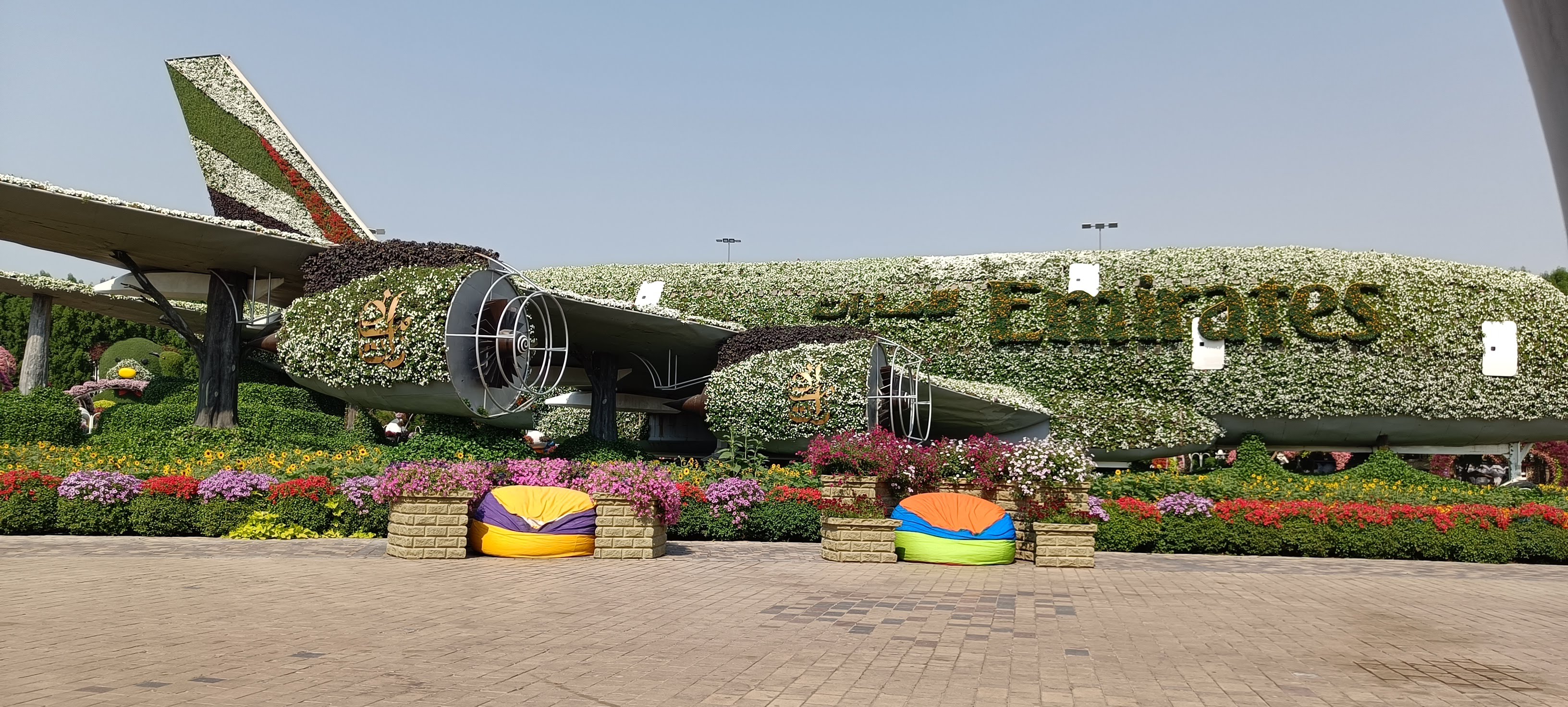 Miracle Garden colorful floral displays - largest flower garden in the world with millions of blooming plants